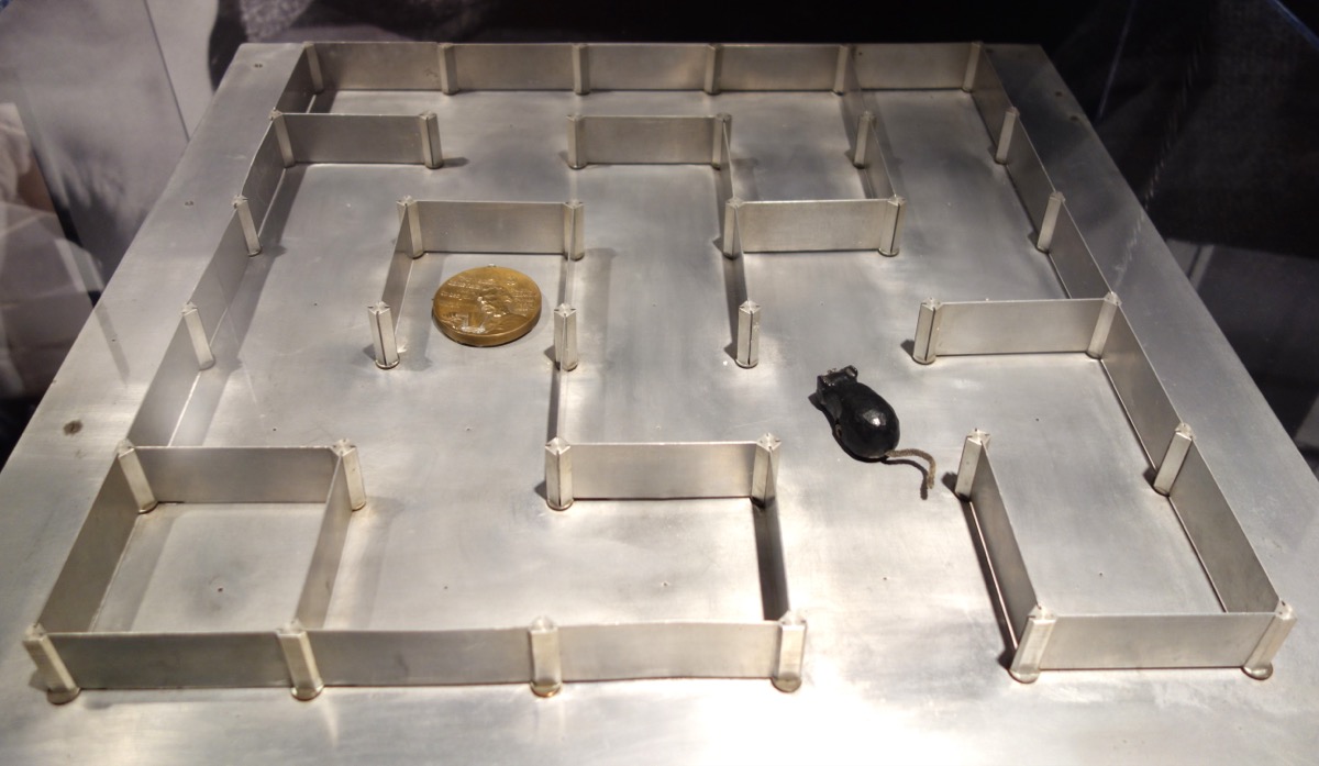 An aluminium maze of movable partitions on a flat tray, with
                  a small black mechanical mouse standing in one of the
                  corridors and a medal resting in another.